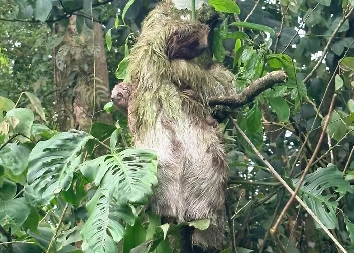 La Guaca Apartamento *