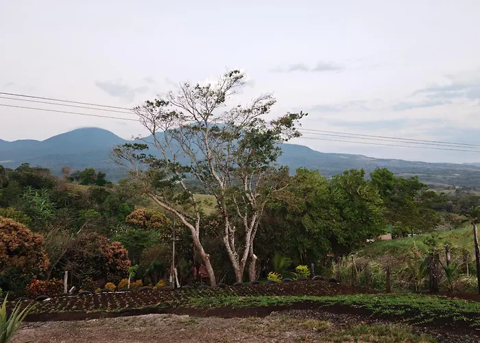 La Guaca Apartamento